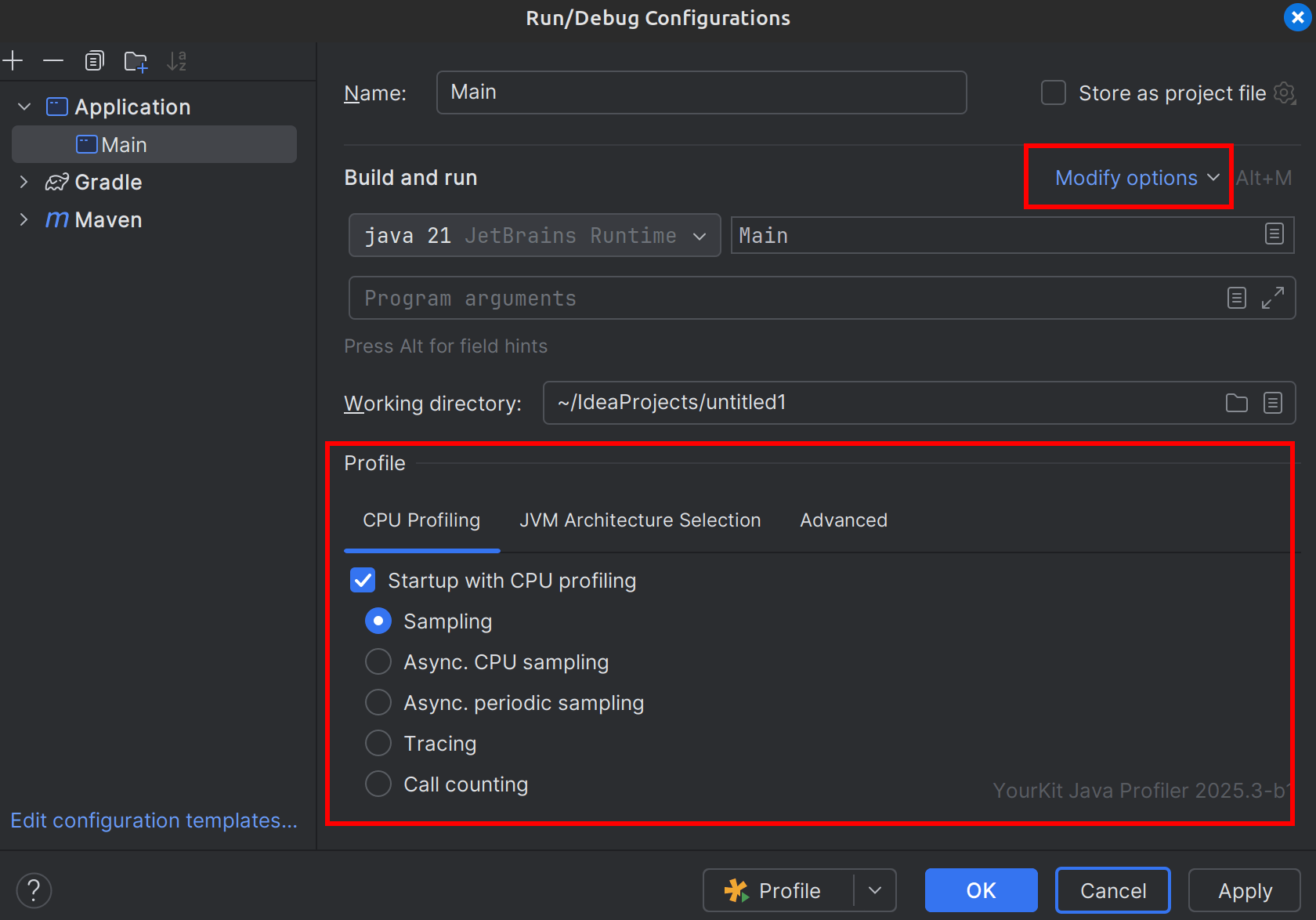 IDEA profile run configuration