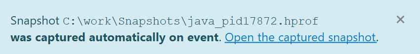 OOME snapshot event