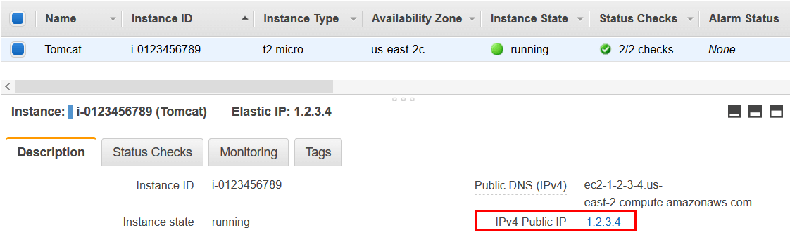 instance IP address